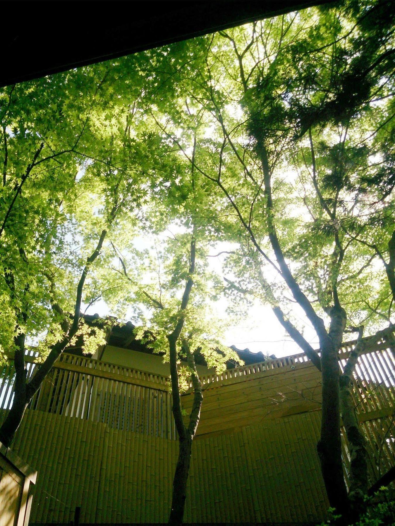 La Maison De David 유후 외부 사진
